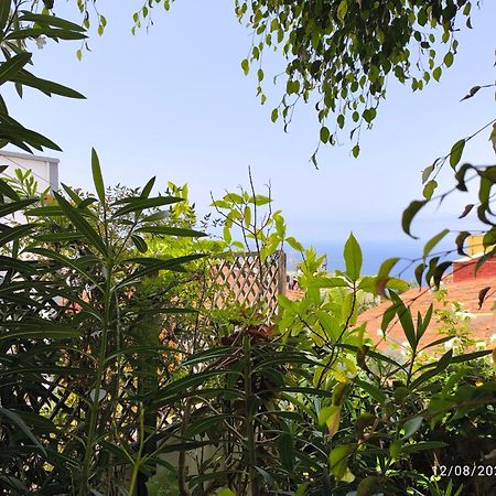 Casa Flora Garden Studio Саусаль Экстерьер фото