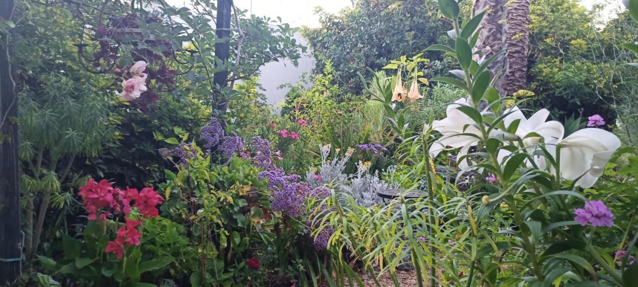 Casa Flora Garden Studio Саусаль Экстерьер фото