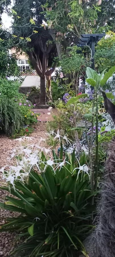 Casa Flora Garden Studio Саусаль Экстерьер фото
