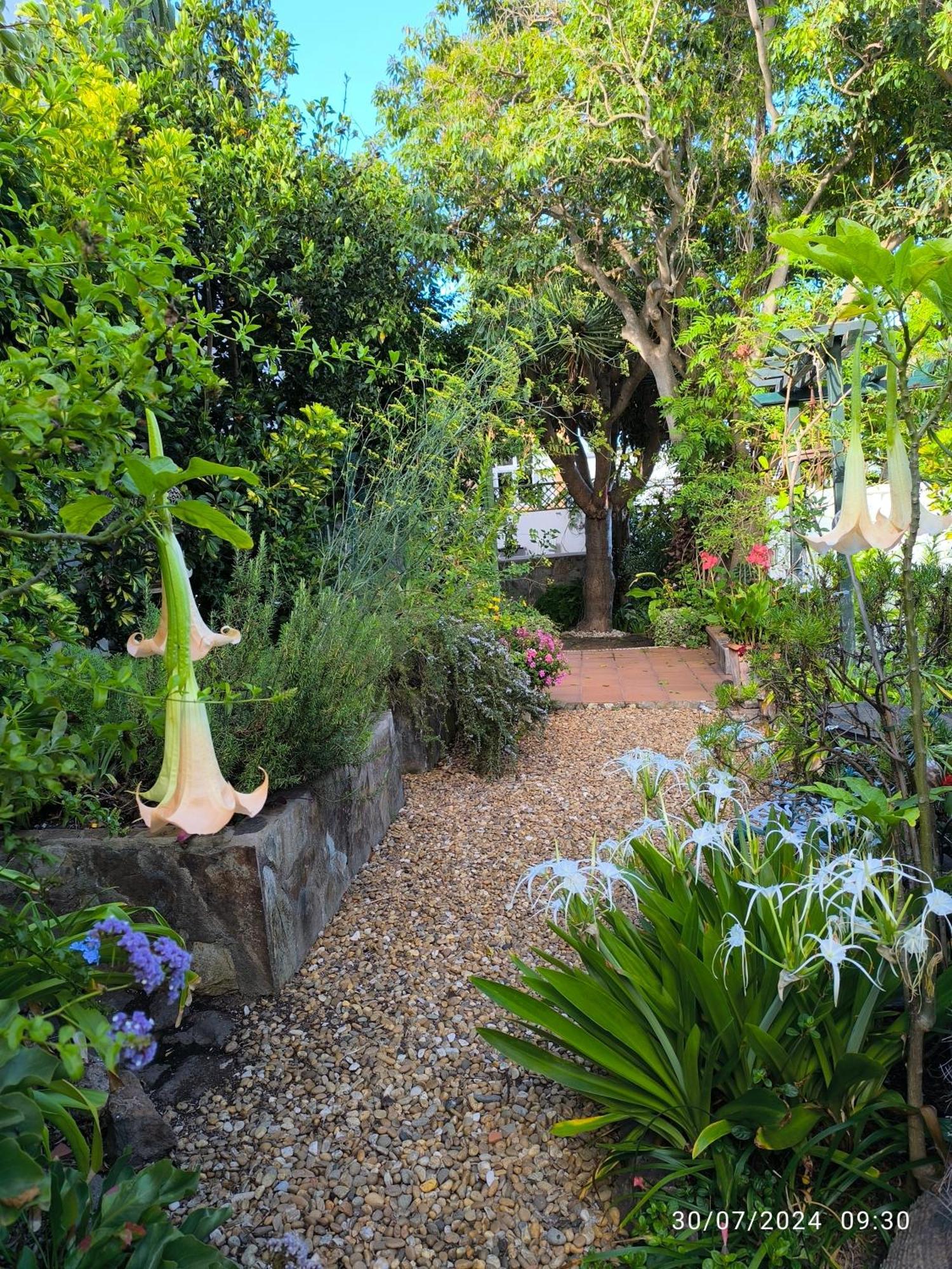 Casa Flora Garden Studio Саусаль Экстерьер фото