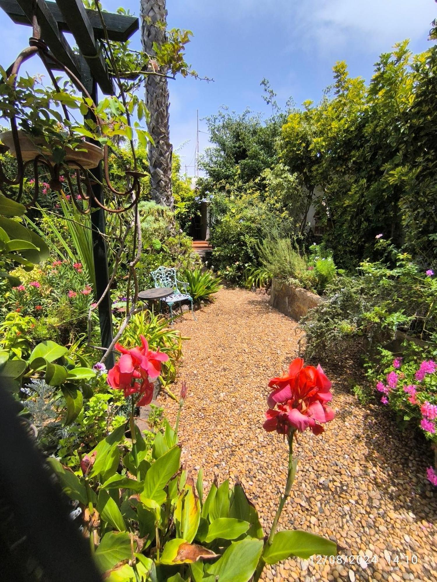 Casa Flora Garden Studio Саусаль Экстерьер фото