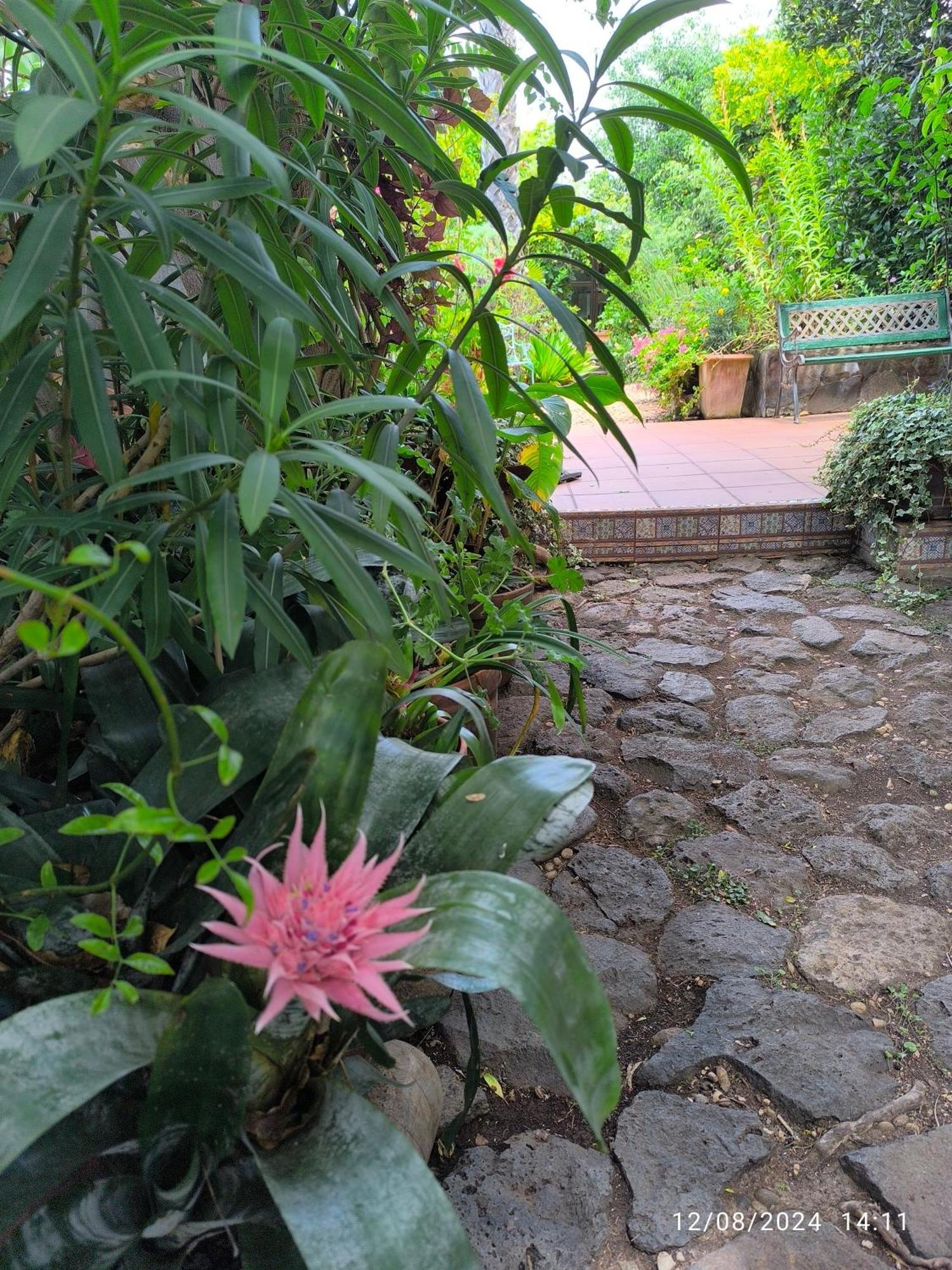 Casa Flora Garden Studio Саусаль Экстерьер фото