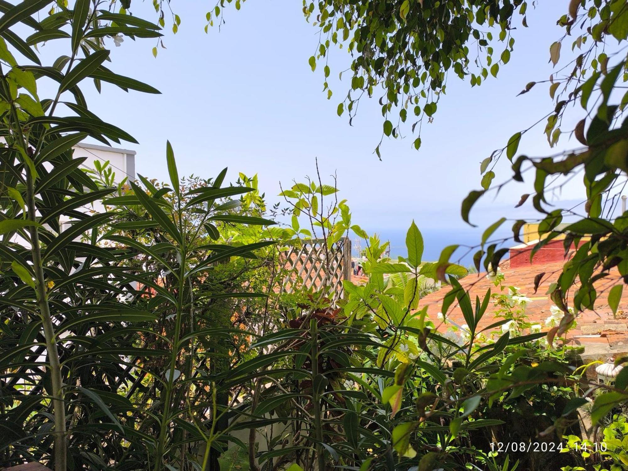 Casa Flora Garden Studio Саусаль Экстерьер фото